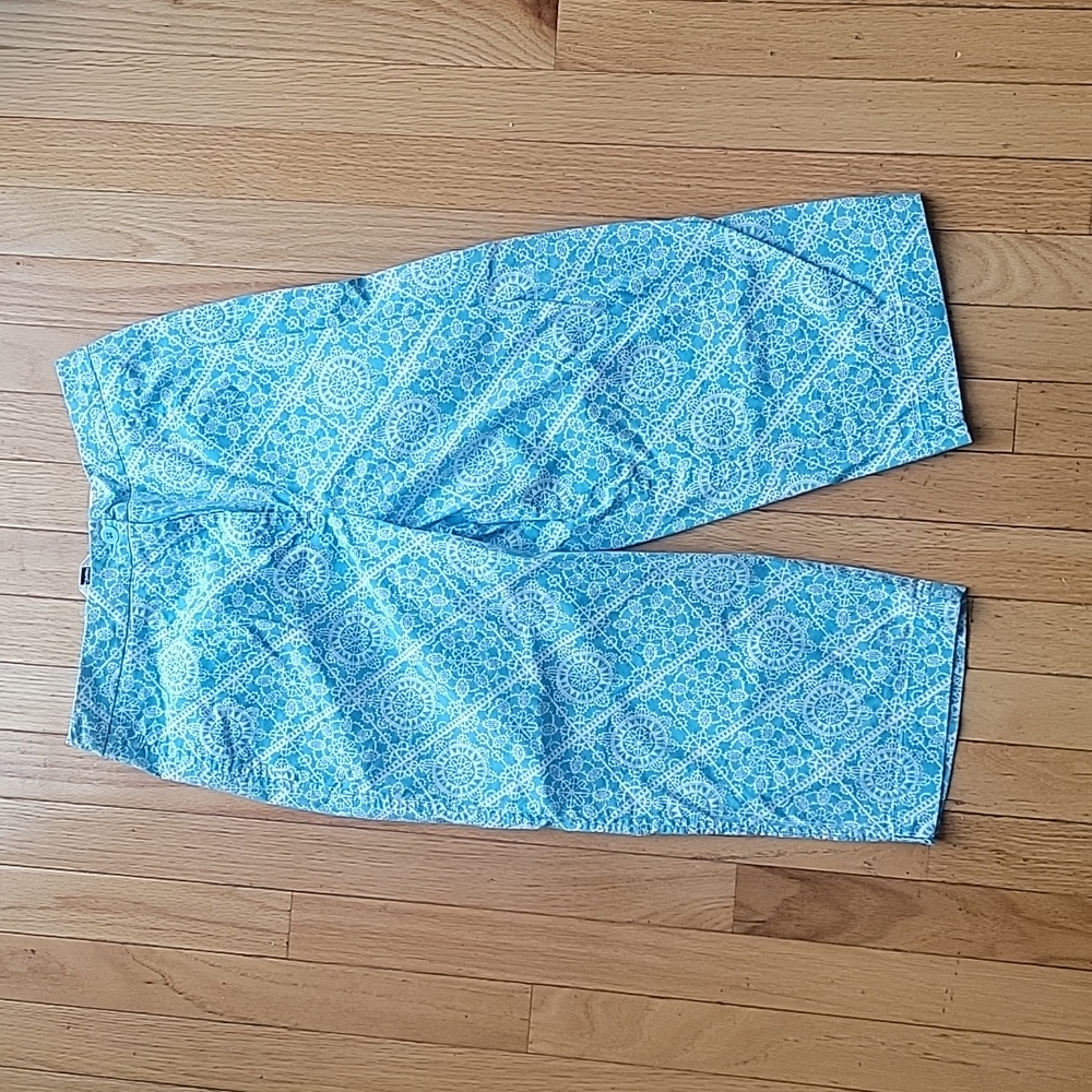 Talbots Blue Patterned Pants